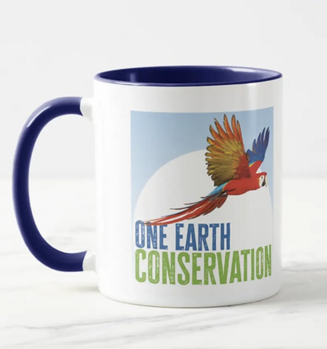 Want to show off your support for #parrots while supporting our mission of turning #poachers into #parrot protectors? Visit our shop on Zazzle.com to purchase fun, colorful, parrot-themed regalia! 

zazzle.com/store/oneearth…

#animals #goodcauses #birds #adoptdontshop
