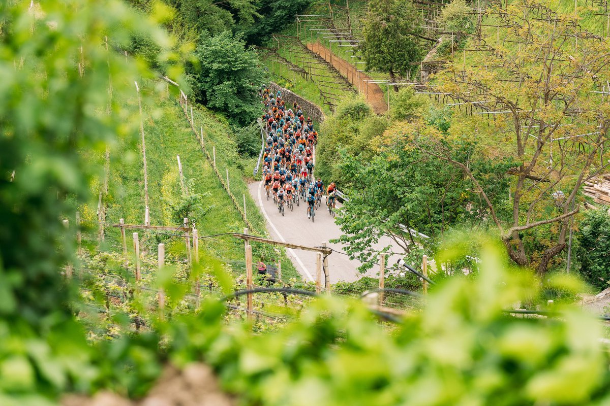 Tour of The Alps tweet media