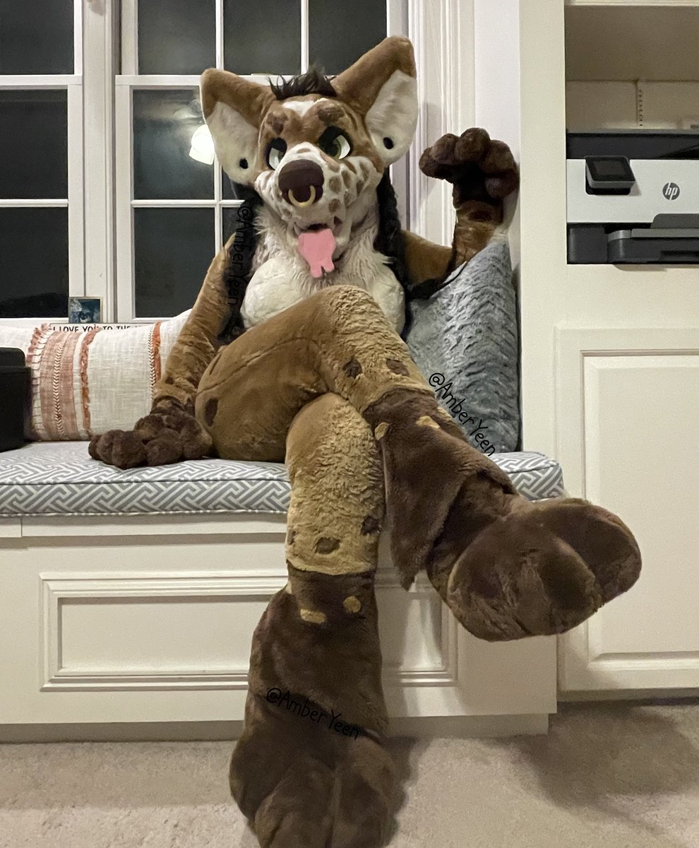 How long do I have to wait here till I get any service 

Just sitting pretty waiting for my paws to be taking care of 🐾

#MurrsuitMonday #pawlover 
📸 @Pyxle8ted_Bytes