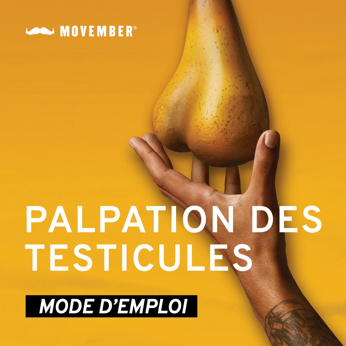 Movember France tweet media