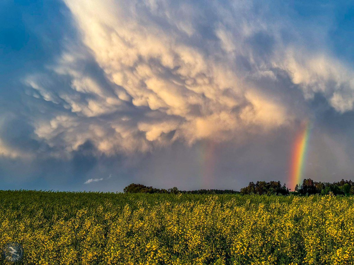 Was für eine tolle Stimmung gerade eben auf der Rückseite der kräftigen Gewitterzelle östlich von Landshut mit Mammatuswolken und einem doppelten Regenbogen 😃