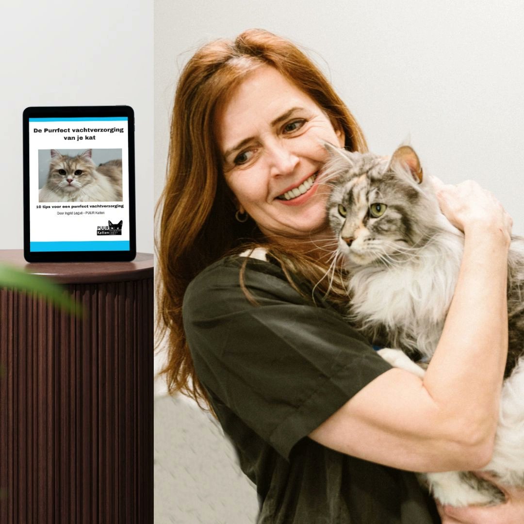 Ziet je mooie kat er momenteel uit als een verwilderde plukkerige baal wol? In mijn exclusieve handleiding ontdek je hoe je de vacht van je kat klitvrij houdt.
Wil jij dit ook? Geef je harige metgezel dan de glanzende en gezonde vacht die hij verdient! 
puurkatten.nl/e-book-purrfec…