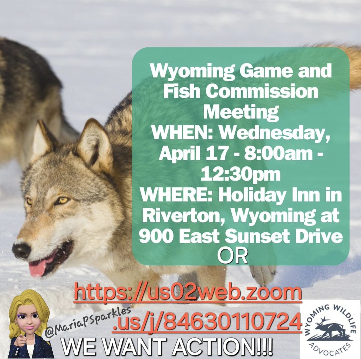 Please contact @WGFD with a respectful comment shown here, and join me this Wednesday!

#CodyRoberts #AnimalCruelty #AnimalMonday #animallover #AnimalLovers #animallove #AnimalsLover #AnimalWelfare 

@nywolforg
@wildearthguard
@TrapFreeMT
@peta 
@AWAction_News
@TheHumaneCenter