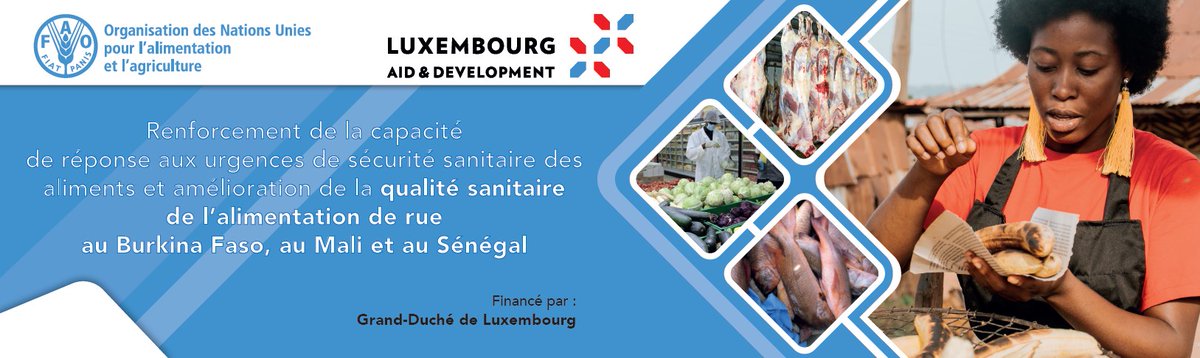 Avec le soutien financier de @cooperation_lu, le projet 'Renforcement de la capacité de réponse aux urgences de #SécuritéSanitaire des aliments & amélioration de la qualité sanitaire de l’alimentation de rue au #Burkina_Faso, au #Mali & au #Senegal est mis en œuvre.