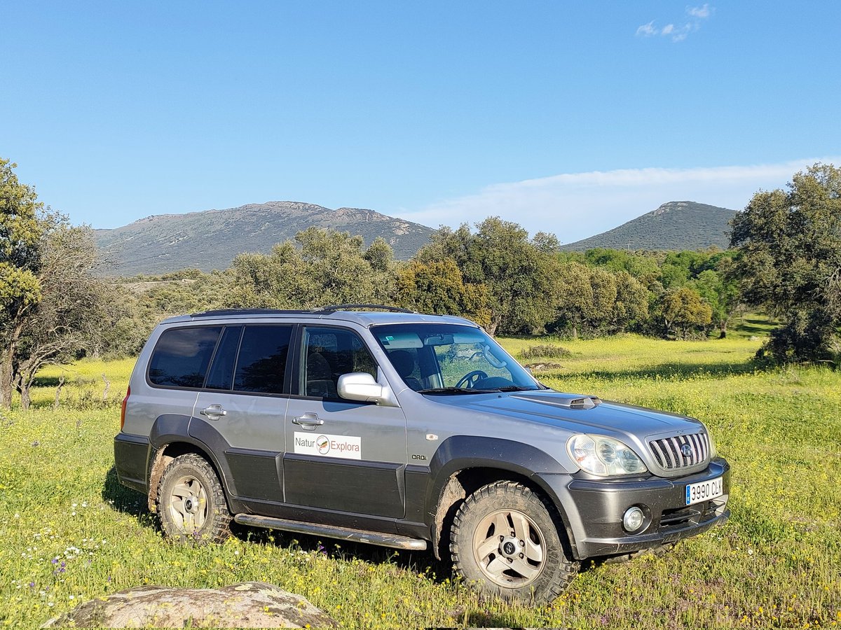 vivelavidaroca's tweet photo. 📍#QuintaLuciañez #Cabañeros #MontesDeToledo
👏🏻Pedazo de #Ruta en 4X4 con #NaturExplora ¡Te la recomendamos!
🦌Podrás ver #gamos #corzos #muflones e incluso #linces
💤Te puedes quedar a #Dormir en la espectacular #CasaRural de la Quinta
🌳#EcoTurismo #EcoTurismoCLM #RedNatura2000 https://t.co/d4PlxyyMN5