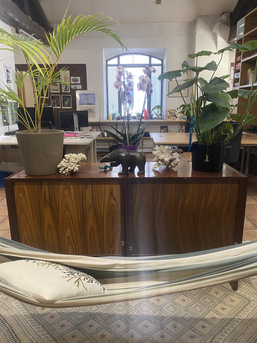 orovellotti tweet media