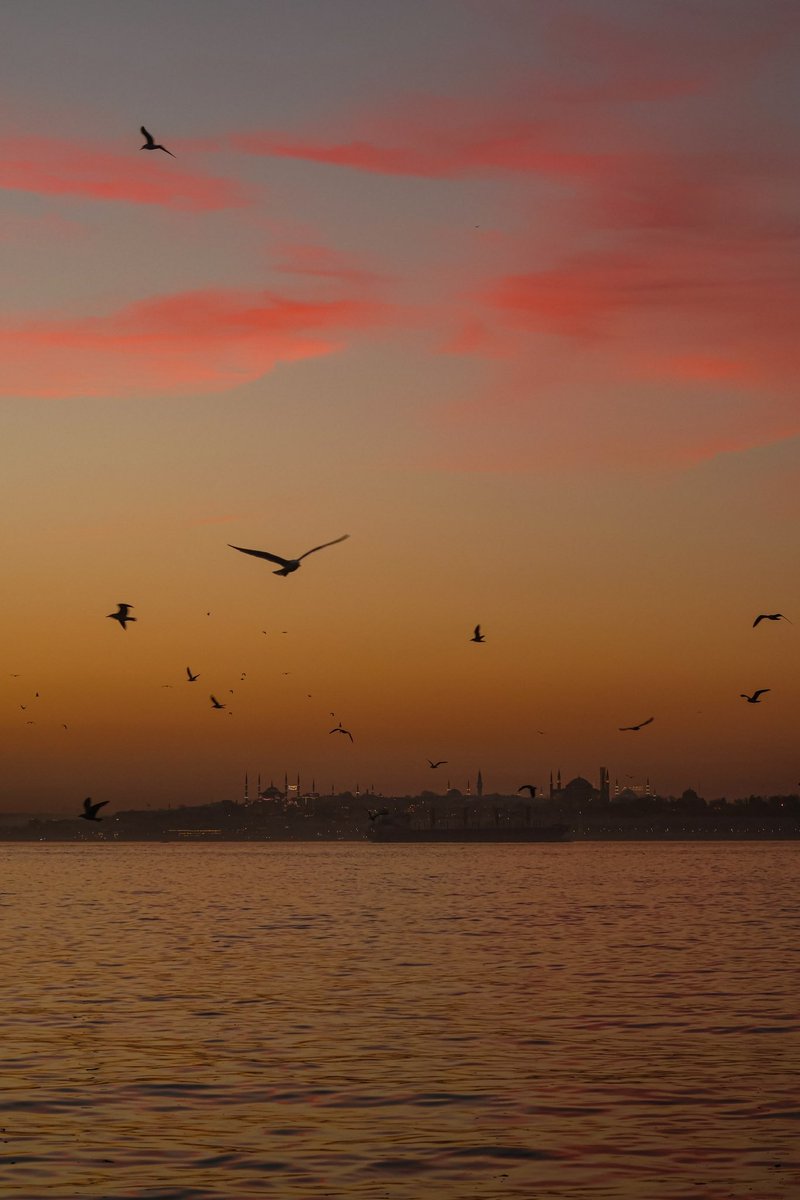 omerfoztrk's tweet photo. kadıköy ve vapur işbirliğinde gün batımı https://t.co/fguBGG7WfL