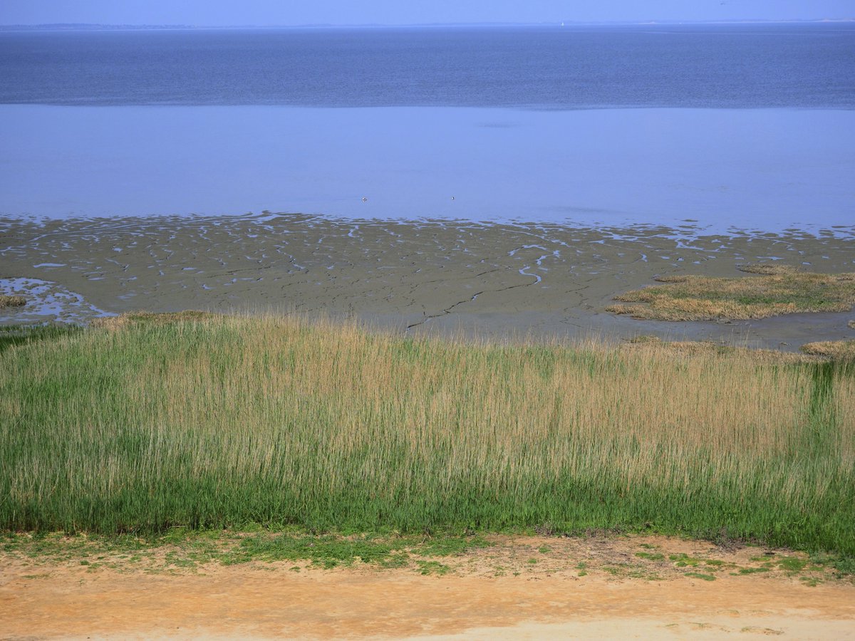 #UNITEDINTERIM-CIO privat: Mein #Lieblingsfoto der Woche  – Morsum (Sylt) - 2018