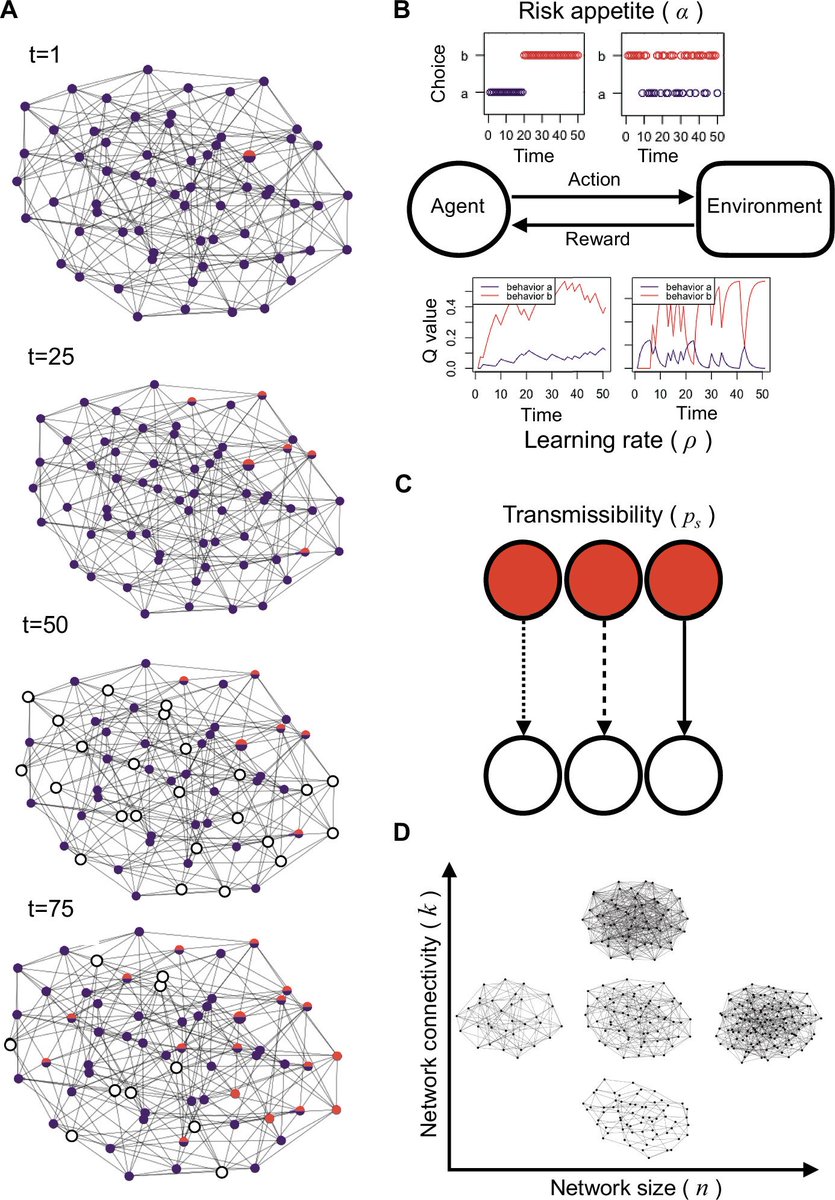 🥳🤯 so happy to see this chapter of my phd with @LucyMAplin finally out in @ASNAmNat (link: doi.org/10.1086/730110) we use an agent based model combining both transmission and RL to formally explore many different flavors of population turnover on adaptive cultural evolution.