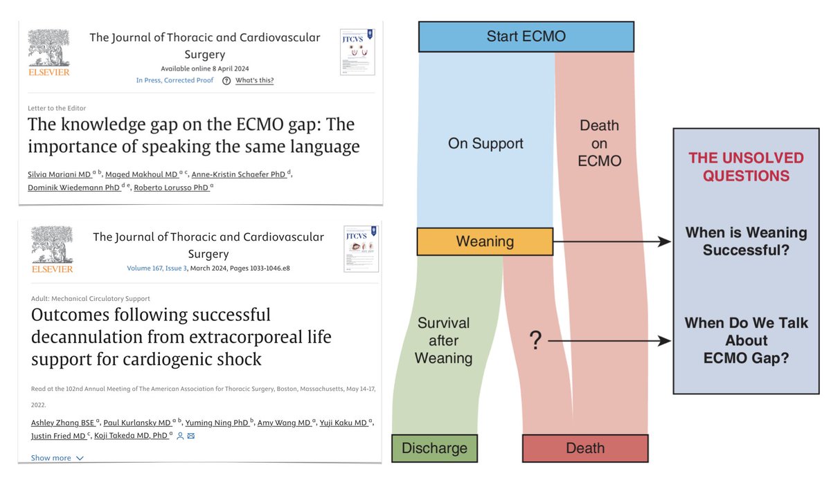 Still huge knowledge gap regarding what happens after #ECMO decannulation: discrepancy exists between pts successfully weaned & pts who survive to discharge. We need common language. 🖇️ bit.ly/3W2d2Rc Refers to study on outcome of #ECLS for CS. 🖇️ bit.ly/441RYfI