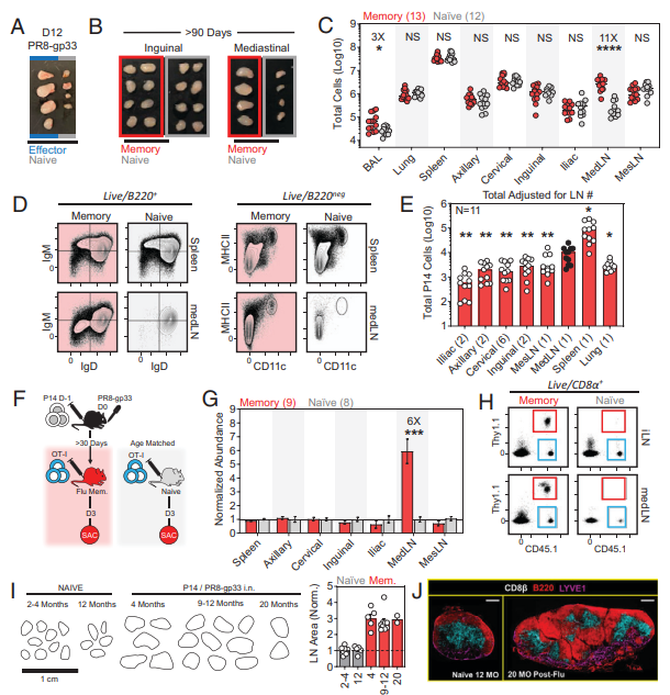 Waggoner Lab tweet media