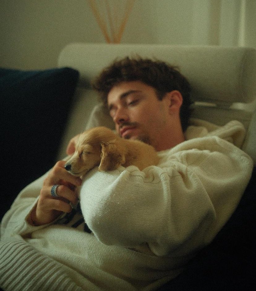 leclercsletters's tweet photo. LEO LECLERC, YOU HAVE MY WHOLE HEART 😭😭🥹❤️ https://t.co/JuLKc09rLf