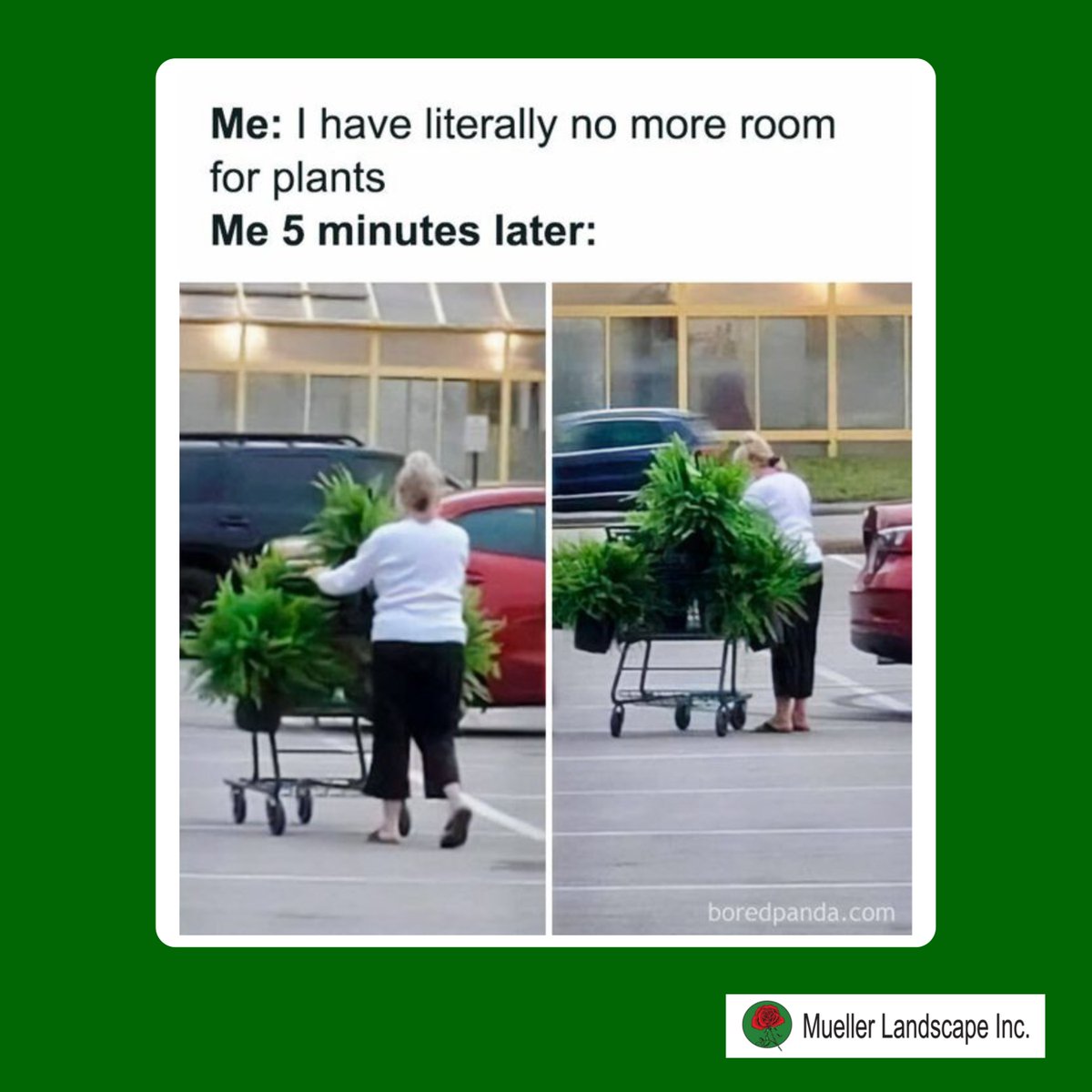 You can always find a bit more space to spare. 🤭

#Gardening #Gardeningservices #LandscapeDesign #GardeningGoals #PlantsJoke