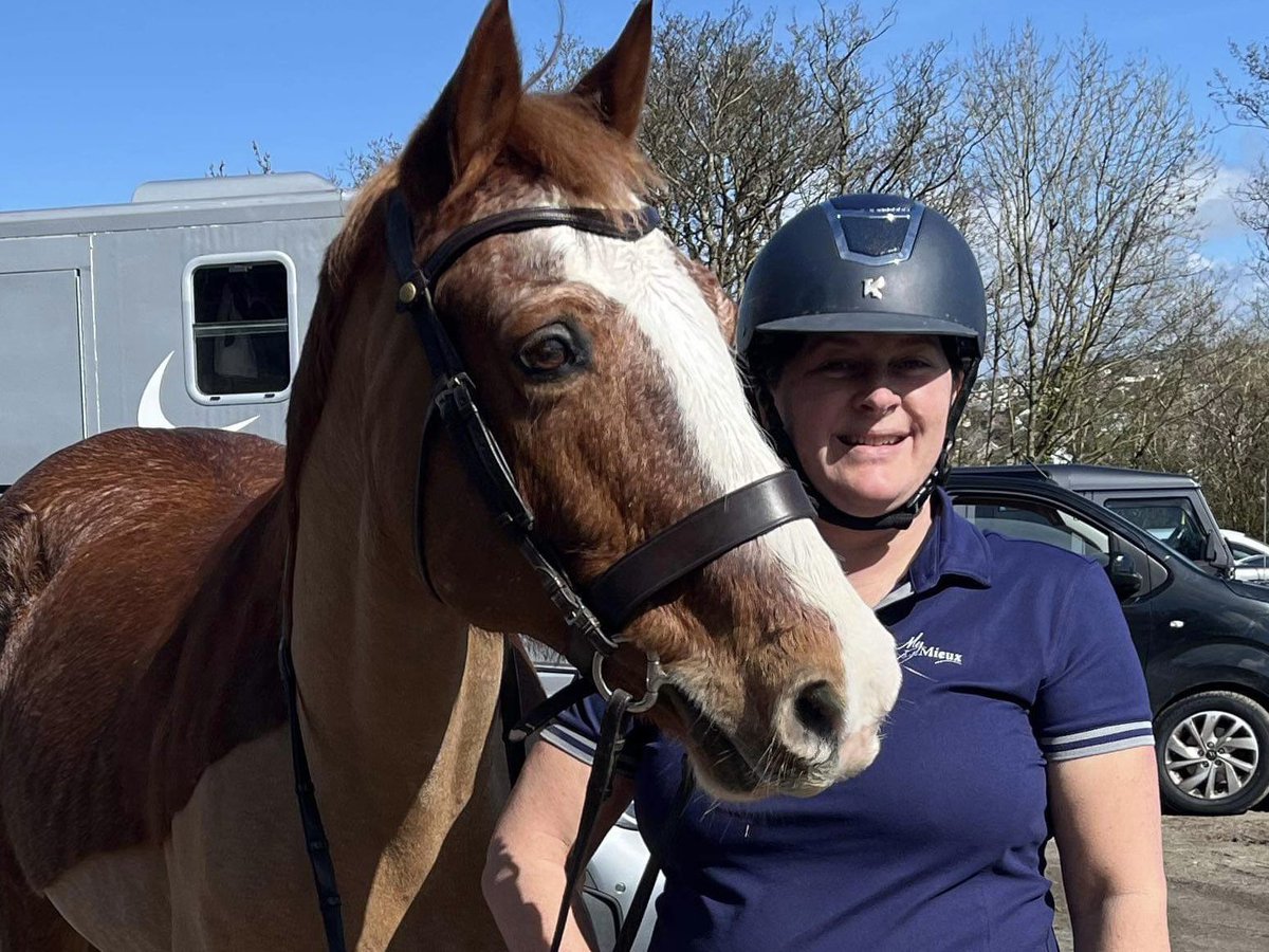 CeriPhelps1's tweet photo. Happy 19th birthday Penralltgoch Rhys Macsen Dafydd - you made it through a tough yearβ€οΈβ€οΈ πͺπ½πͺπ½π΄π΄ #prideandjoy #welshcob #sectiond https://t.co/M4zivQYITm
