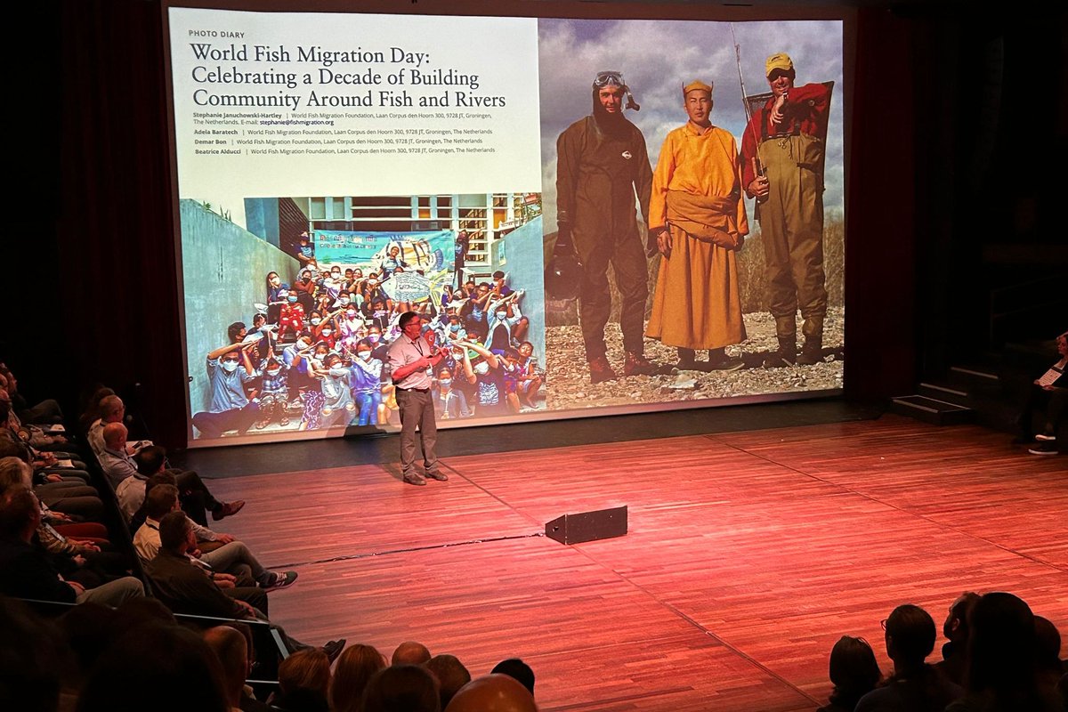 fishmigration's tweet photo. Reflecting on an incredible first day at the #FreeFlowConference! 🌟 Engaging talks, vibrant networking and #Dambusters screening. Relive some highlights of day 1 and get some good rest for tomorrow! 📸✨ https://t.co/AoHnHJe9Op