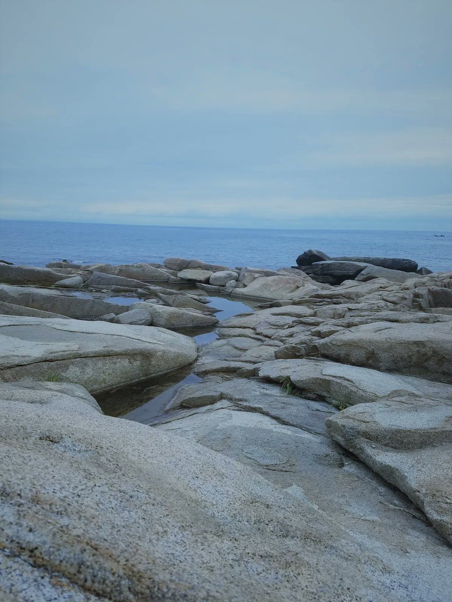 devillinestone.com/on-the-rocks Goosebumps rise to the salty bite,but still,I let it have me The liquid licks like needle pricks,my numbing toes delight me Motors blow,a fog horn groans,greenheads all a-buzzing While snails rule the tidal pool,osprey perch a-gazing #poetry #writing #poem