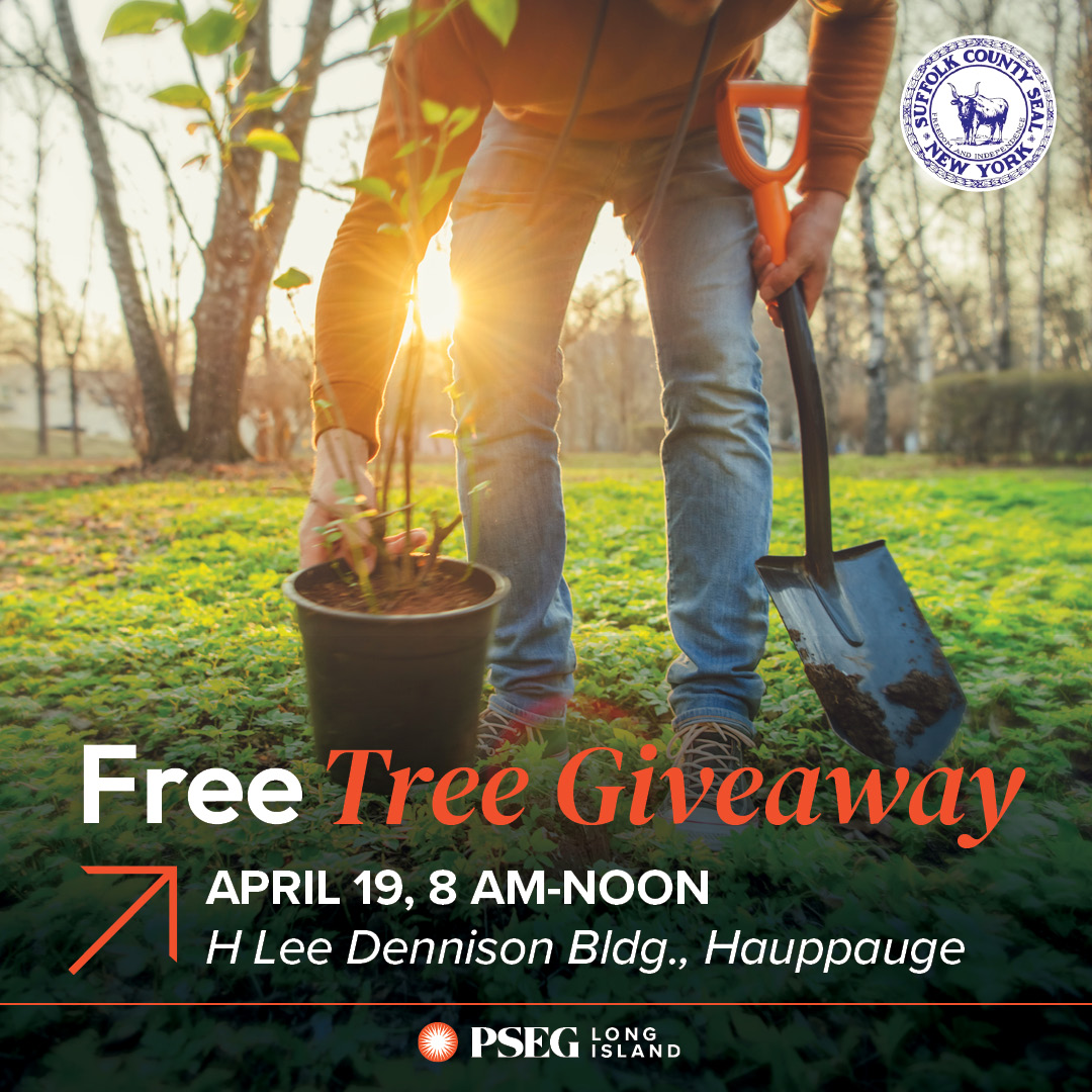 In celebration of #EarthDay🌎we are officially kicking off our annual FREE Energy-Saving Trees giveaway! Up first is Suffolk County! In partnership with @ExecEdRomaine , the PSEG Foundation and the @arborday, we have 250+ trees available for our Suffolk County customers. RESERVE…