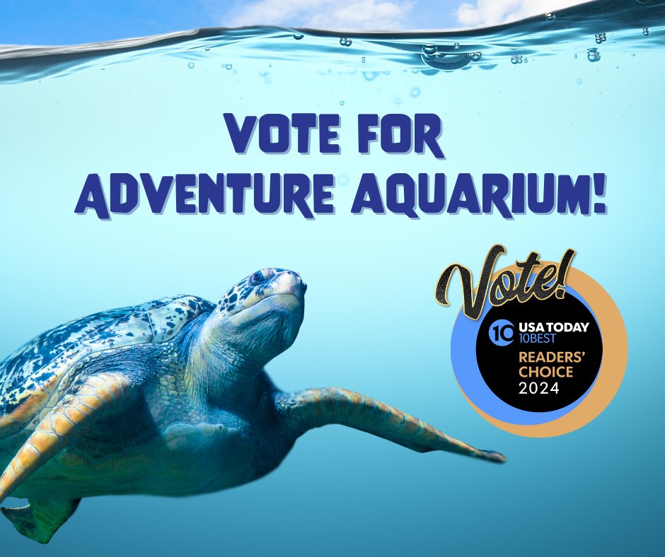🦈 We have been nominated by @usatoday as one of the 10 Best aquariums in the country. Help us earn the #1 spot by voting daily!

🗳️VOTE: 10best.usatoday.com/awards/travel/…