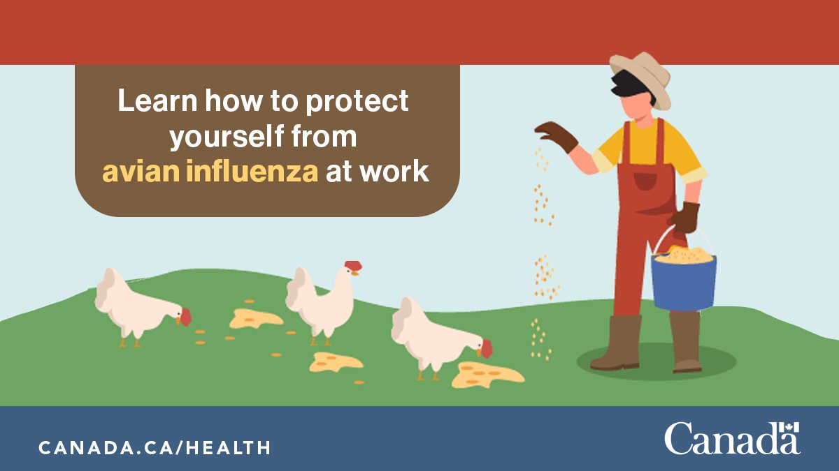 Check out the new <a href="/CCOHS/">CCOHS</a> tip sheet to help people who work with poultry and wildlife protect themselves from #AvianInfluenza. Find it here: ow.ly/bnI250QX2RR