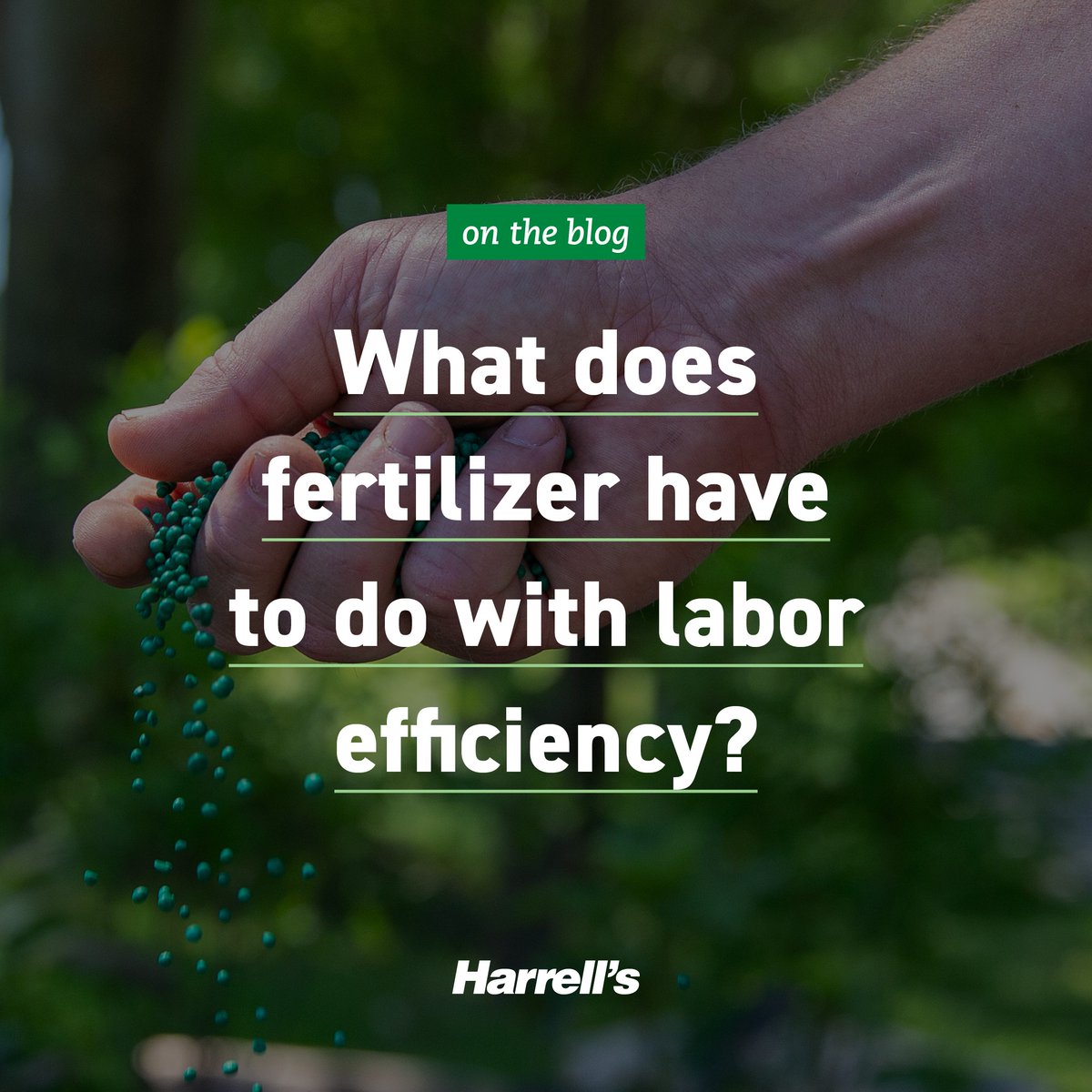 Harrell’s LLC tweet media