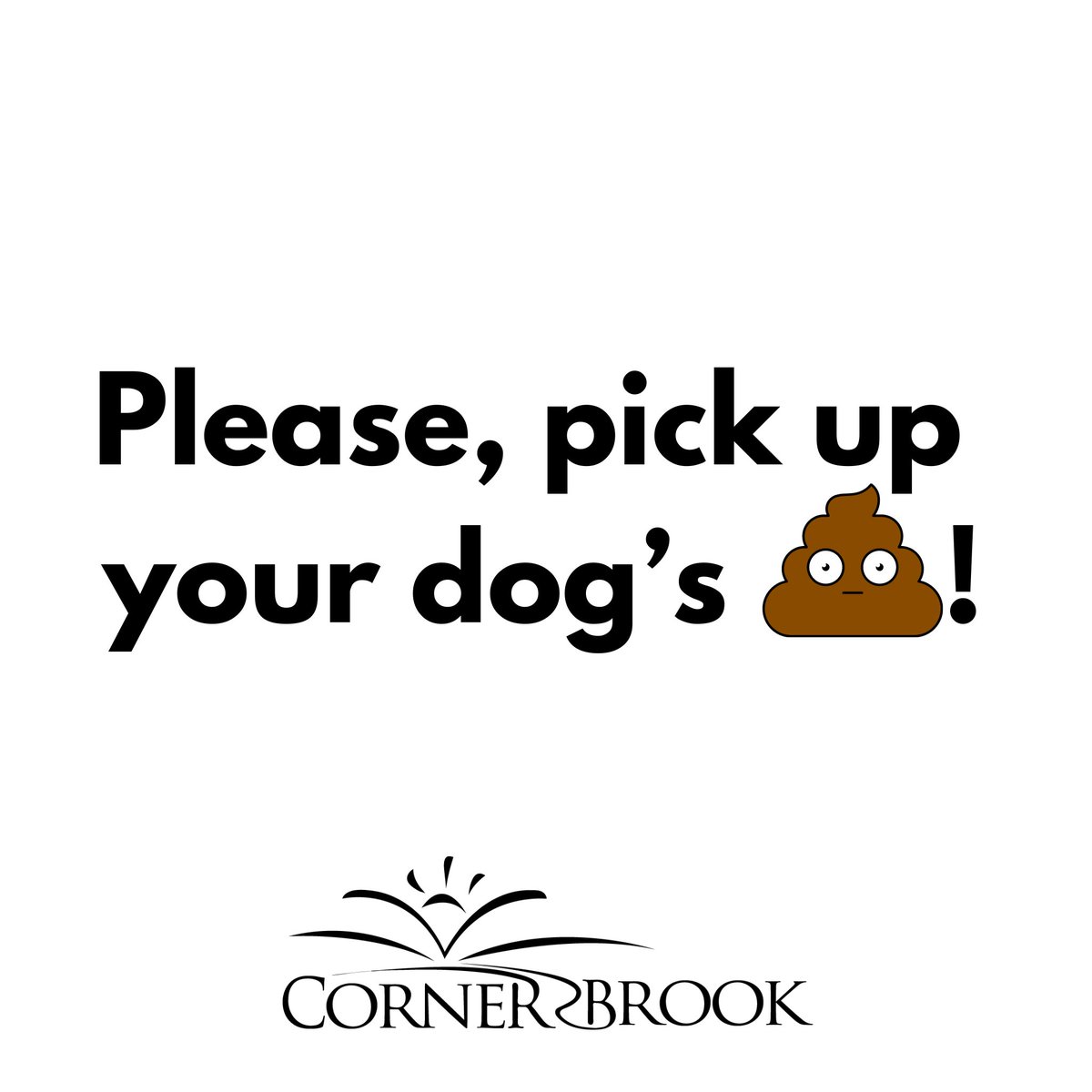 The spring snowmelt is revealing an awful lot of unsightly nuggets! Please respect your fellow residents and visitors who use our public walkways and trails. Pick up after your dogs! If you’ve forgotten your poop bags, there are some available our CB Trail Network’s trailheads.