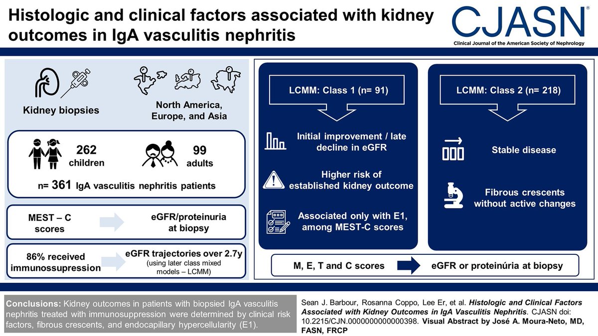 Nephritis is indistinguishable from IgA nephropathy. This study found outcomes in patients with IgA vasculitis nephritis treated with immunosuppression was determined by risk factors & endocapillary hypercellularity & fibrous crescents bit.ly/CJASN0398 @PedsLupusRenal