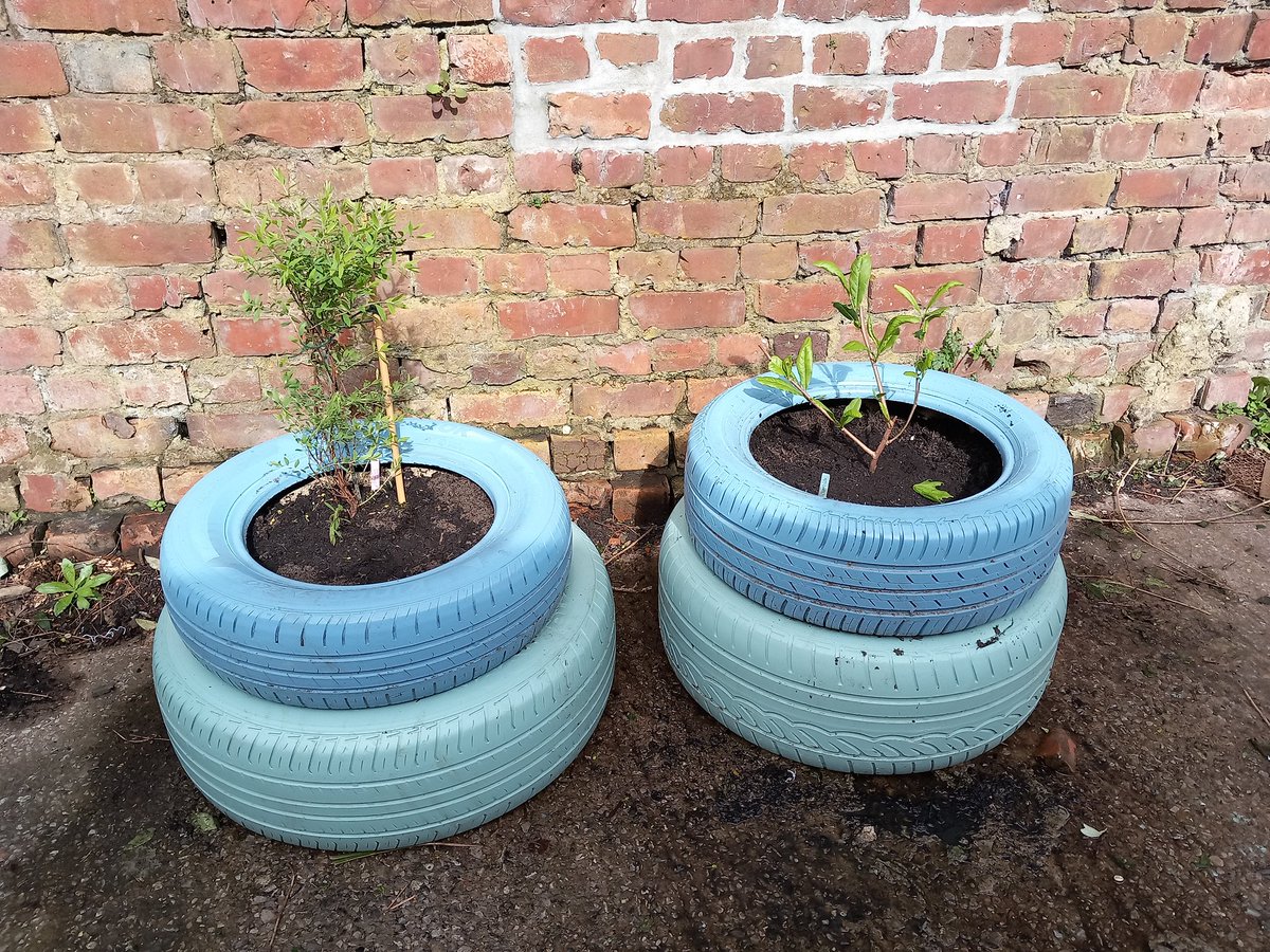 Another busy day in our @CreativeLivingC garden. Spring tidy up continues and we have planted out our colourful tyre planters. As always big thanks to our members for their enthusiasm and to our friends at @Lancswildlife and @gmenvfund for their help. 👍