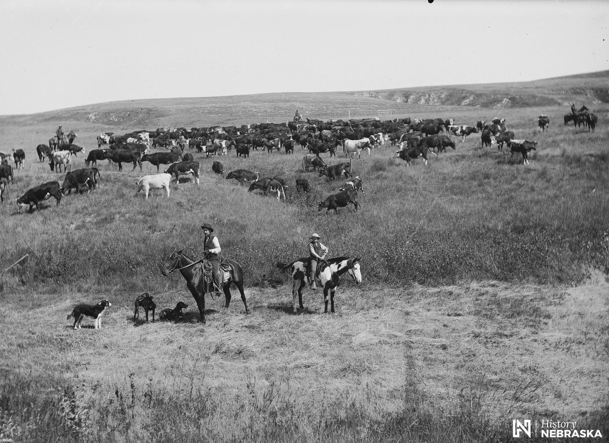 #Trivia Time! What Nebraska county is larger than Connecticut, but only has about 5,700 residents? The population is more impressive if you count cattle.