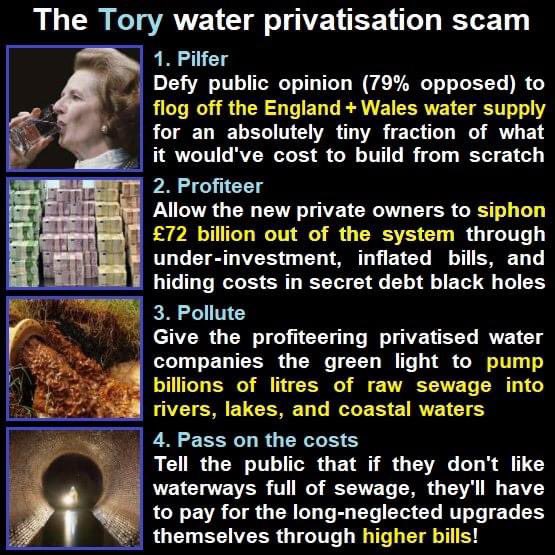 Thames Water and then all the Water Companies need to be renationalised, or the theft will never stop.