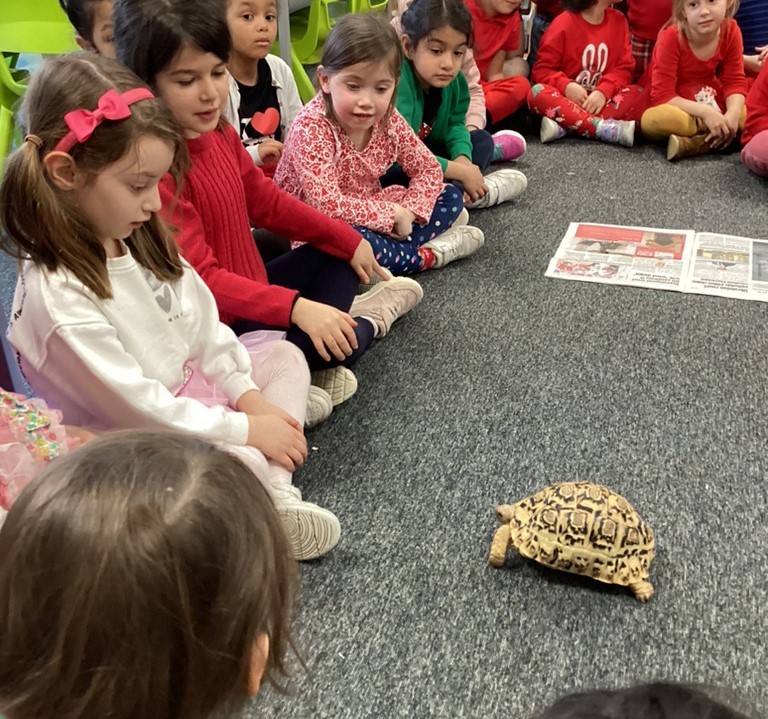 Tortellini came to visit year 1 @Juniors_WHS ! A very big thank you to sixth formers Lily and Emily for sharing their very extensive 🐢 knowledge and answering soooo many questions from our #Y1WHS biologists. Haven't I grown @_JaneLunnon ?!! @Biology_WHS @WimbledonHigh