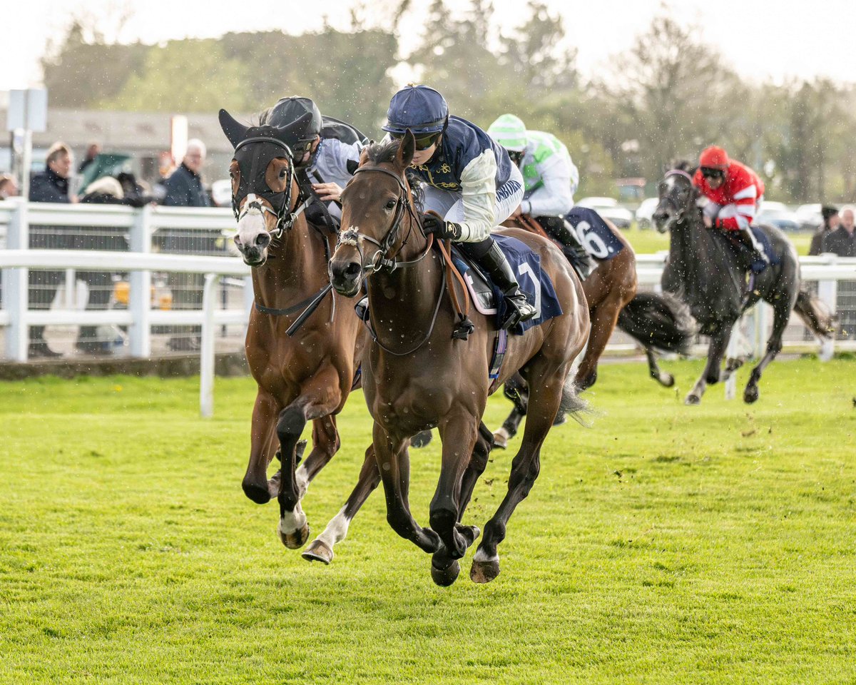 Darren Cool Images (@dcoolimages) on Twitter photo First raceday at <a href="/WindsorRaces/">Windsor Racecourse</a> as official course photographer. Really enjoyable day. Looking forward to the next one.
#dcoolimages #windsor #windsorraces #windsorracecourse #horse #horses #horseracing #horseracingphotography #sport #sportphotography #iamnikon #nikon #nikonz9 First raceday at <a href="/WindsorRaces/">Windsor Racecourse</a> as official course photographer. Really enjoyable day. Looking forward to the next one.
#dcoolimages #windsor #windsorraces #windsorracecourse #horse #horses #horseracing #horseracingphotography #sport #sportphotography #iamnikon #nikon #nikonz9