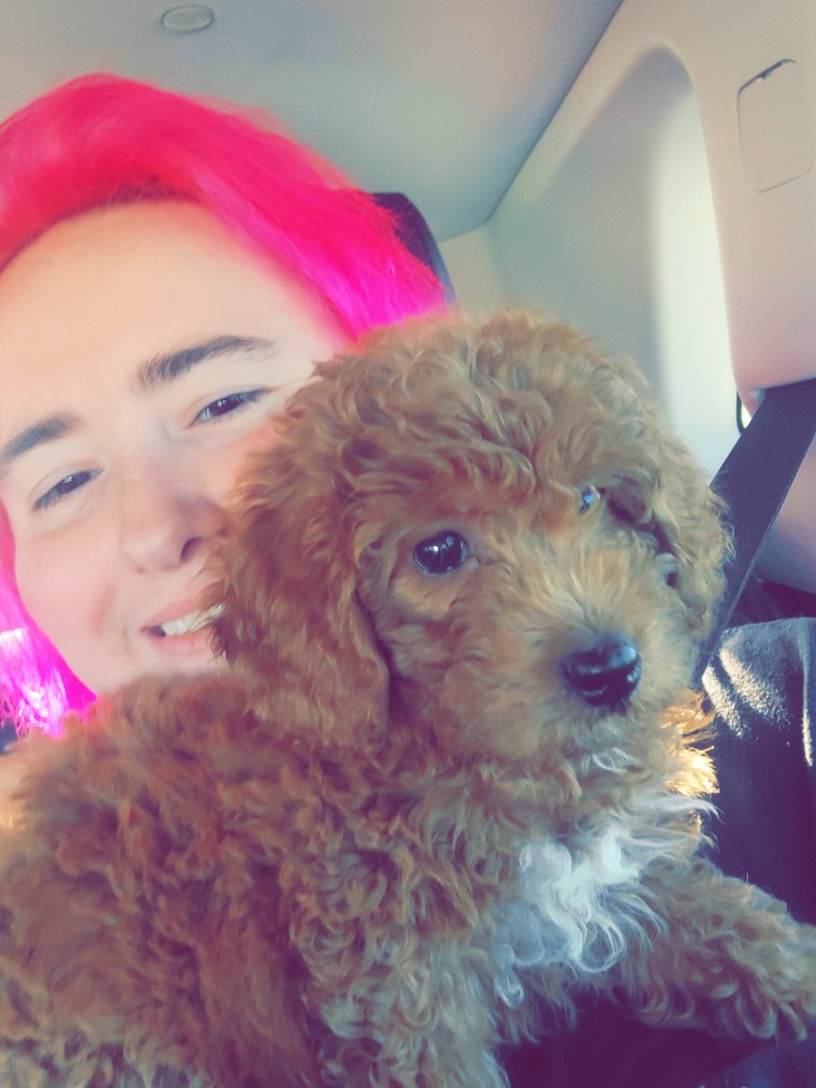 Meet Dexter