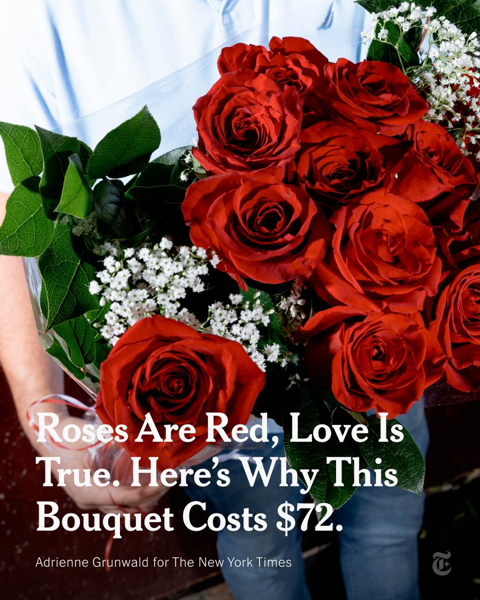 A dozen red roses — the sweetheart surprise that drives the flower industry — is timeless. Its price tag is not. At one Queens florist, where costs have soared in recent years, a bouquet is $72, up from $60 in 2019. Here’s what goes into that price tag. nyti.ms/4axAhXH
