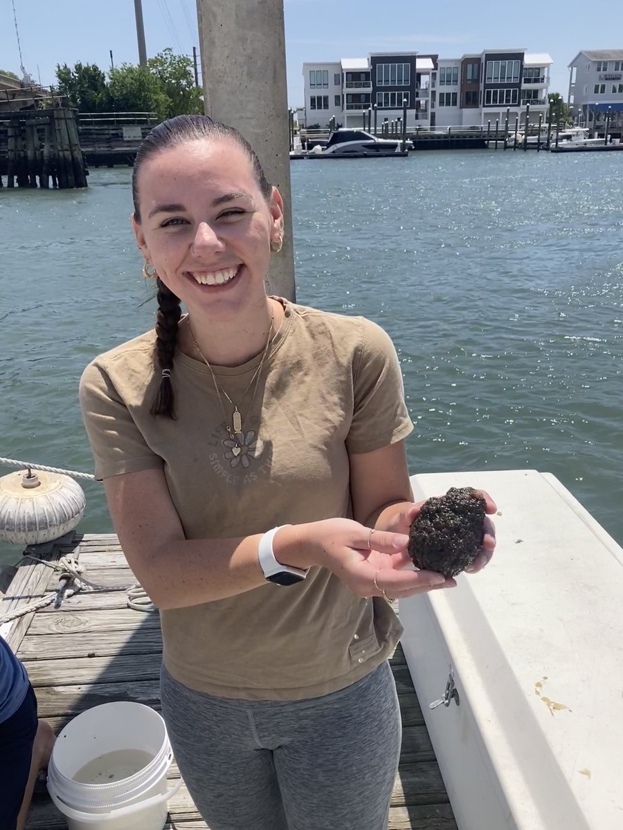 Congrats to Grace on receiving the @NSF #GRFP! We are so proud and excited to continue her work on #ascidian-#archaea interactions with the @iMESALab. This fellowship will fund Grace's PhD work characterizing the impacts of archaea within microbiomes @UNCW_BaMB @UNCW_CMS