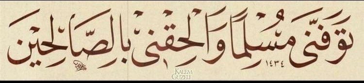 Basem Alshallahi 🩺 tweet media