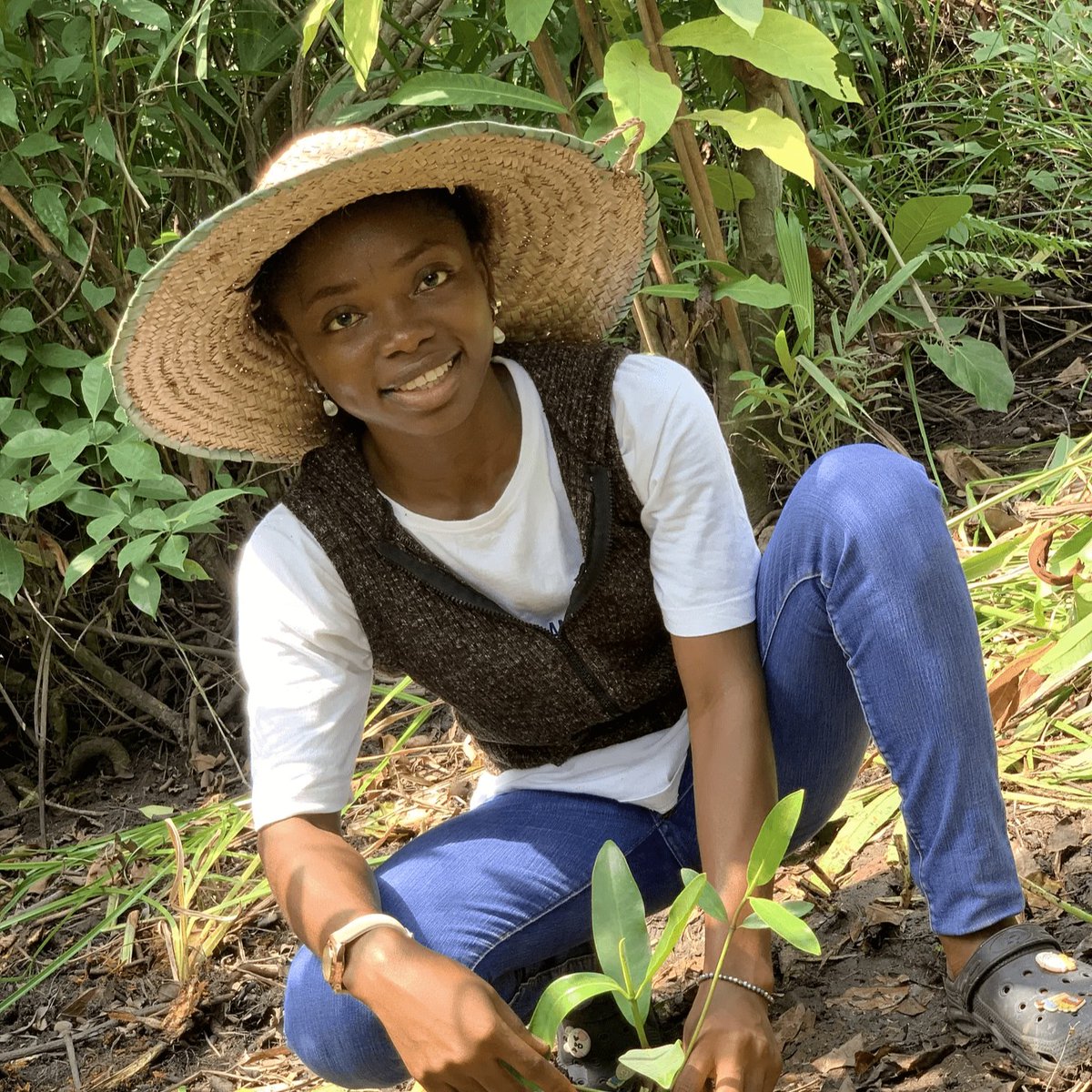 While much attention has been devoted to forest restoration, the vital #mangrove ecosystems have been overlooked, says GLF Restoration Steward Anna Obi Akpe. Want to learn more about her restoration journey? Read the full interview: #ActLandscape bit.ly/3TYFkcH