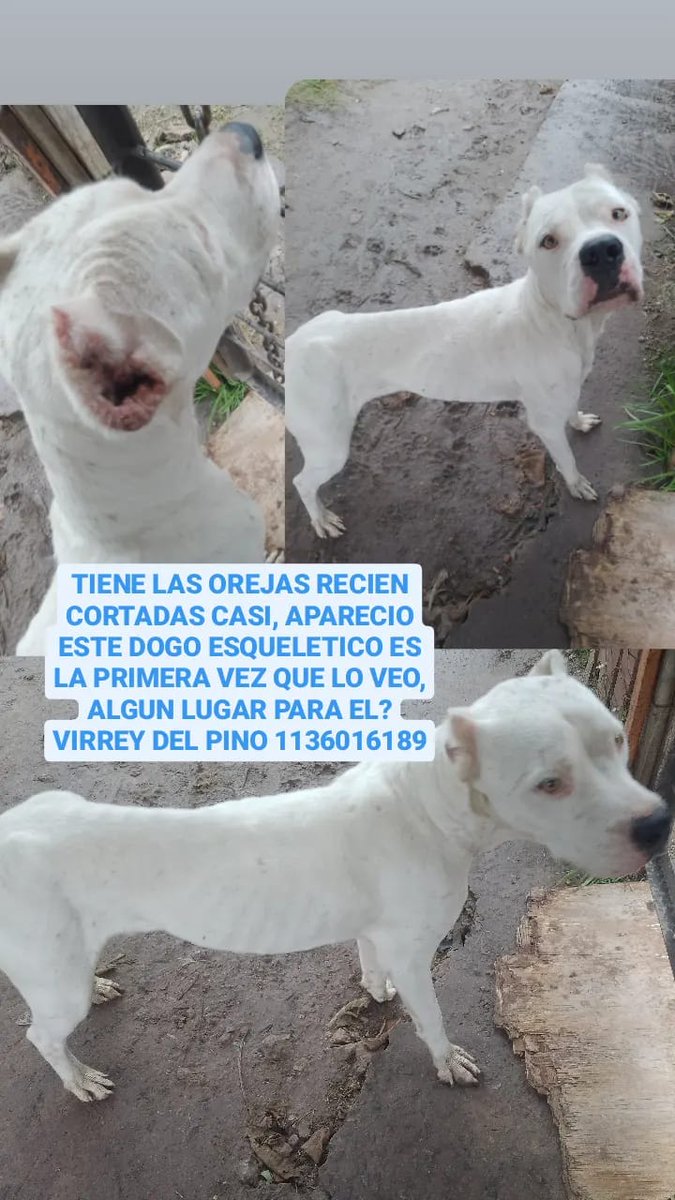 Difundimos