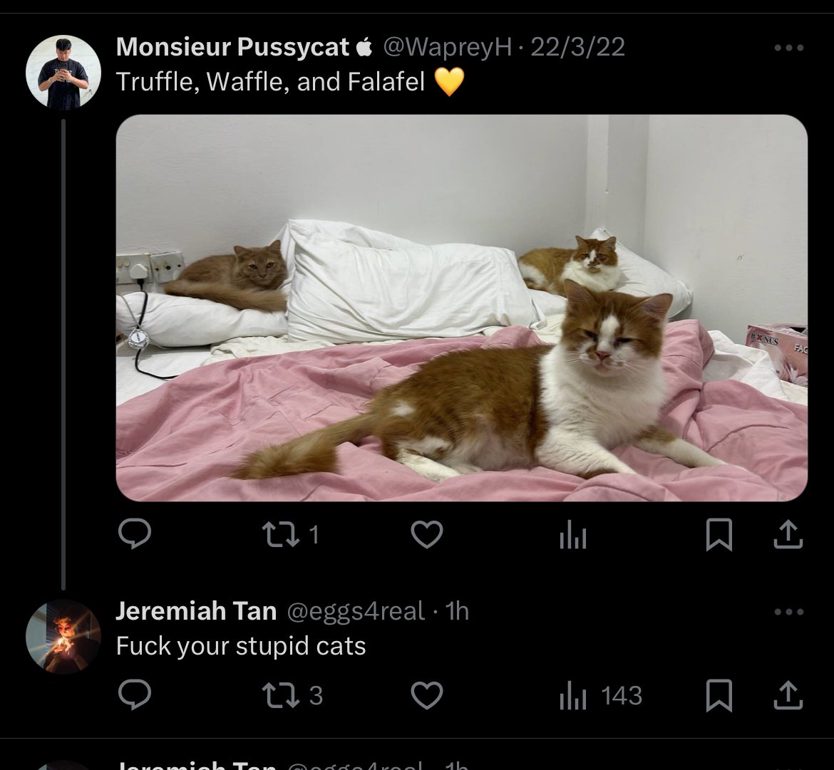 WapreyH's tweet photo. Kucing ku inda besalah bah napa durang yang tekana ani😭😭😭 https://t.co/8orK2QlK7x