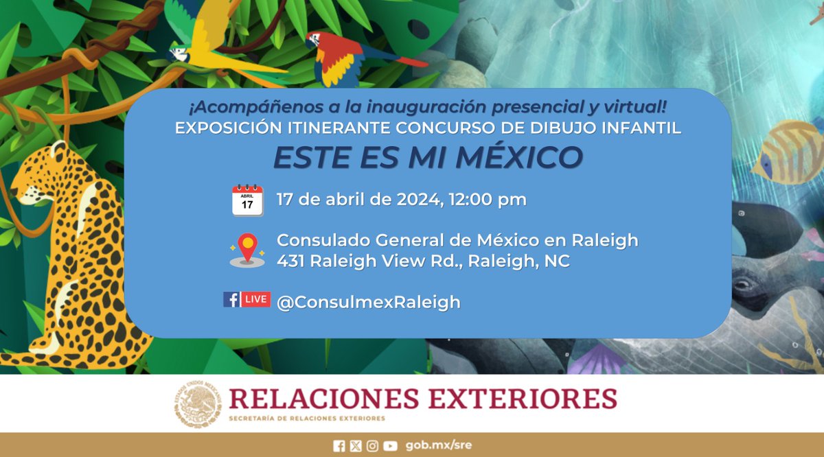 ConsulMexRlm's tweet photo. https://t.co/S1YOj8nVMt