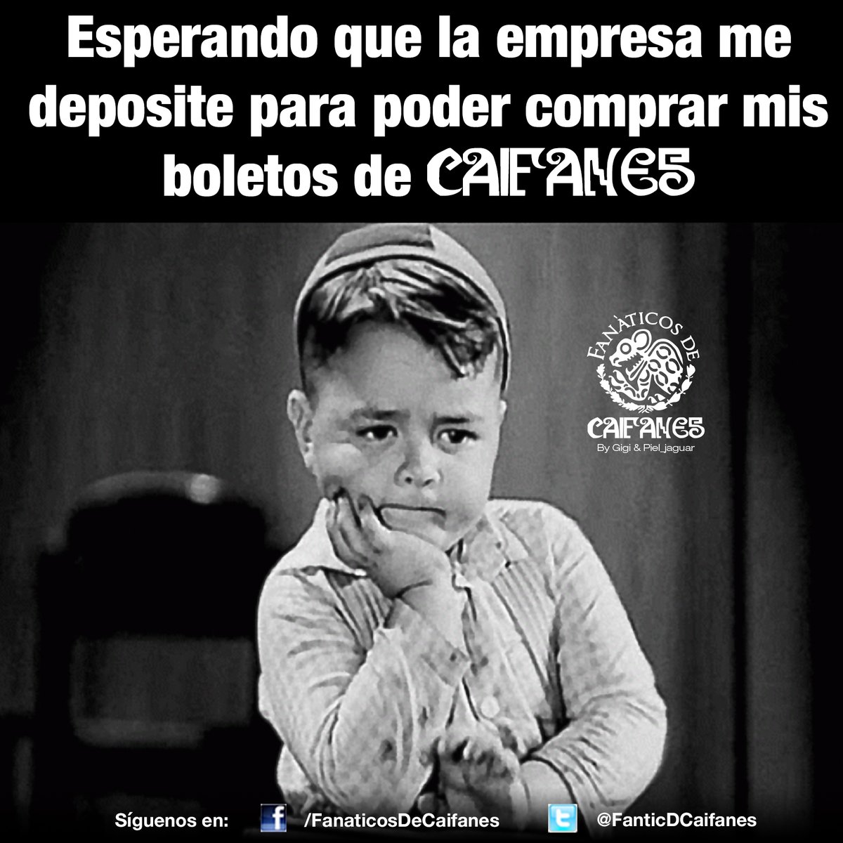 FanticDCaifanes's tweet image. A ver a qué horas 🙄🕘

Ya me urge comprar mis boletos para @CAIFANESMEX 
#CaifanesEnElforoSol