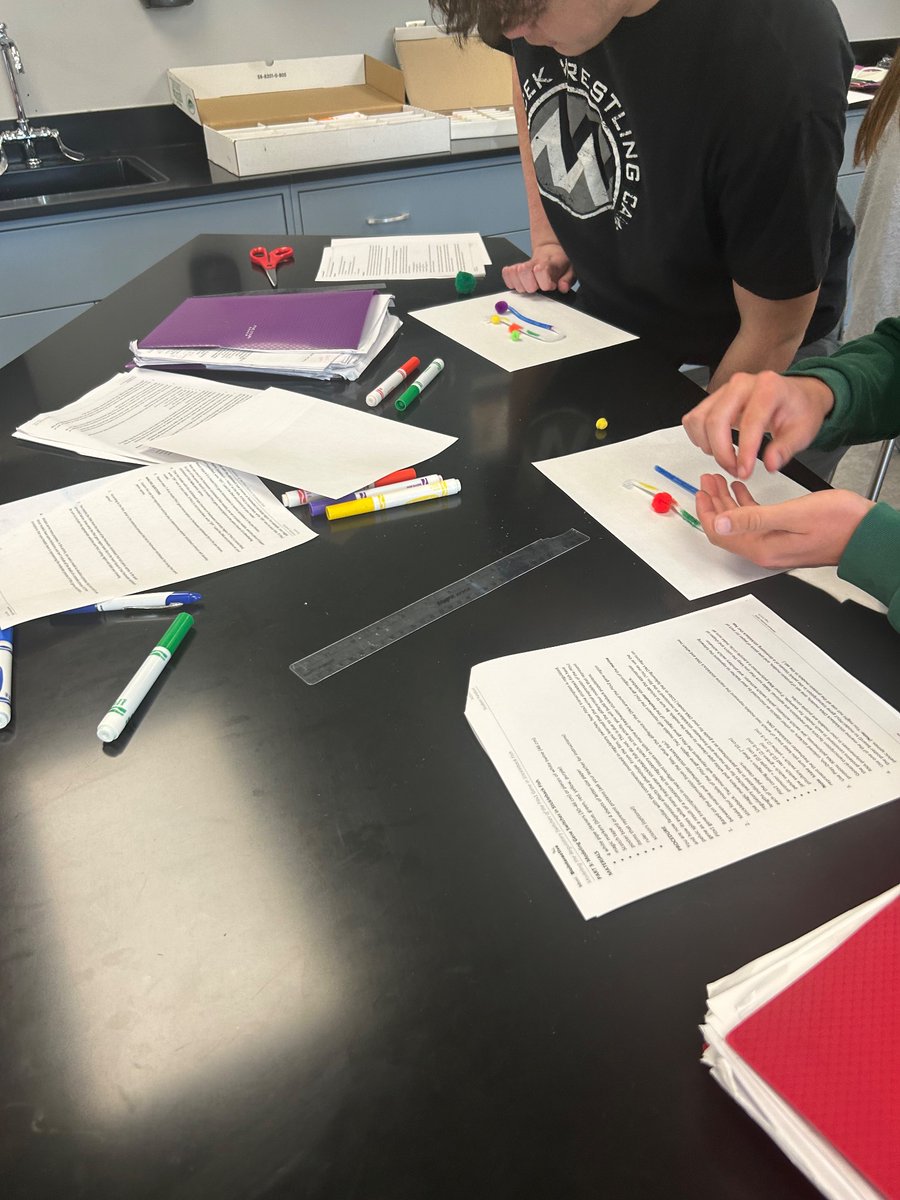 AP Biology students are using models to demonstrate their understanding of eukaryotic gene expression!