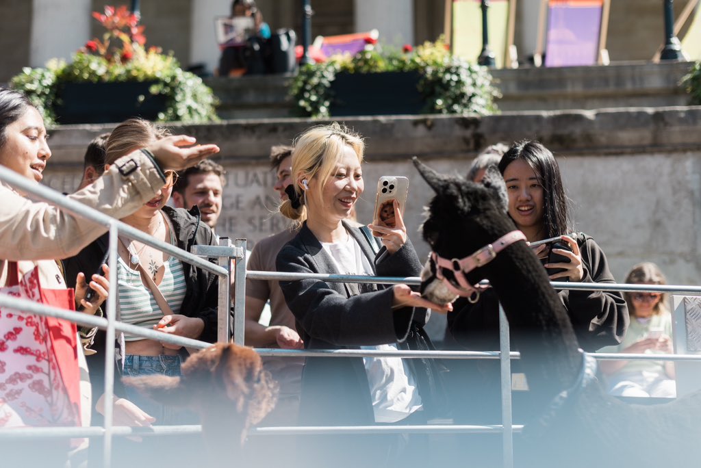 Back by popular demand! Our alpacas will be returning to our Bloomsbury campus tomorrow. Take time out from your revision to meet (or reunite with) them 🦙 ⏰ 10:30am-12:30pm 📍Front Quad (Bloomsbury) Book now: ucl.ac.uk/students/event… @UCLcares