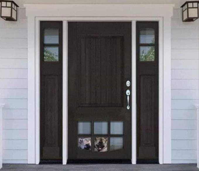 They hung their front door upside down so their doggos could look out.
