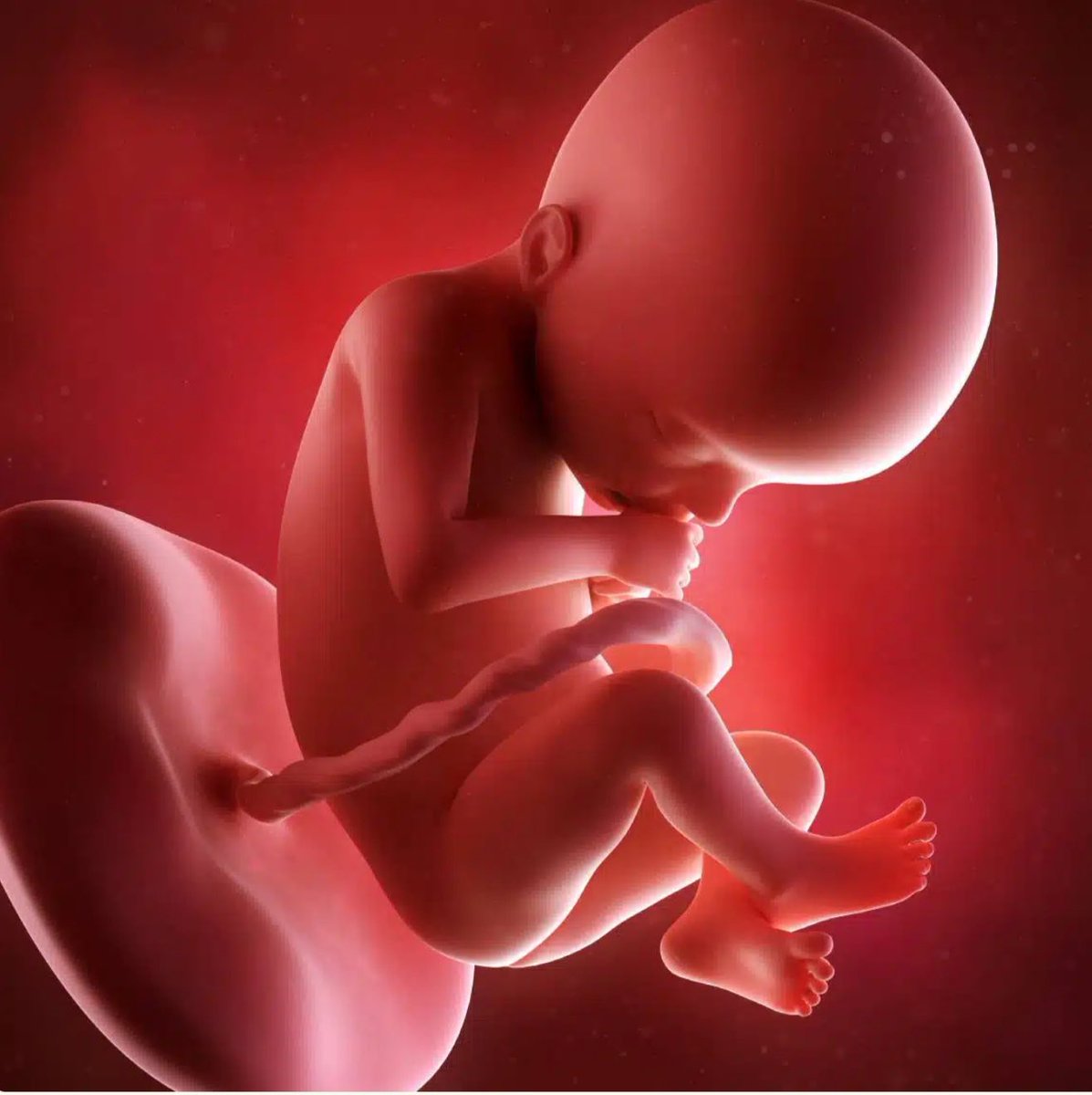 So weit ist dein Baby in der SSW 22 entwickelt:

23-28 cm groß und 370-459 Gramm schwer – ähnlich wie eine Papaya oder Artischocke. Der Aufbau von Fettschichten beginnt. Dein Baby entwickelt in der Schwangerschaftswoche 22 erste Schweißdrüsen. Die Fingernägel deines Babys…