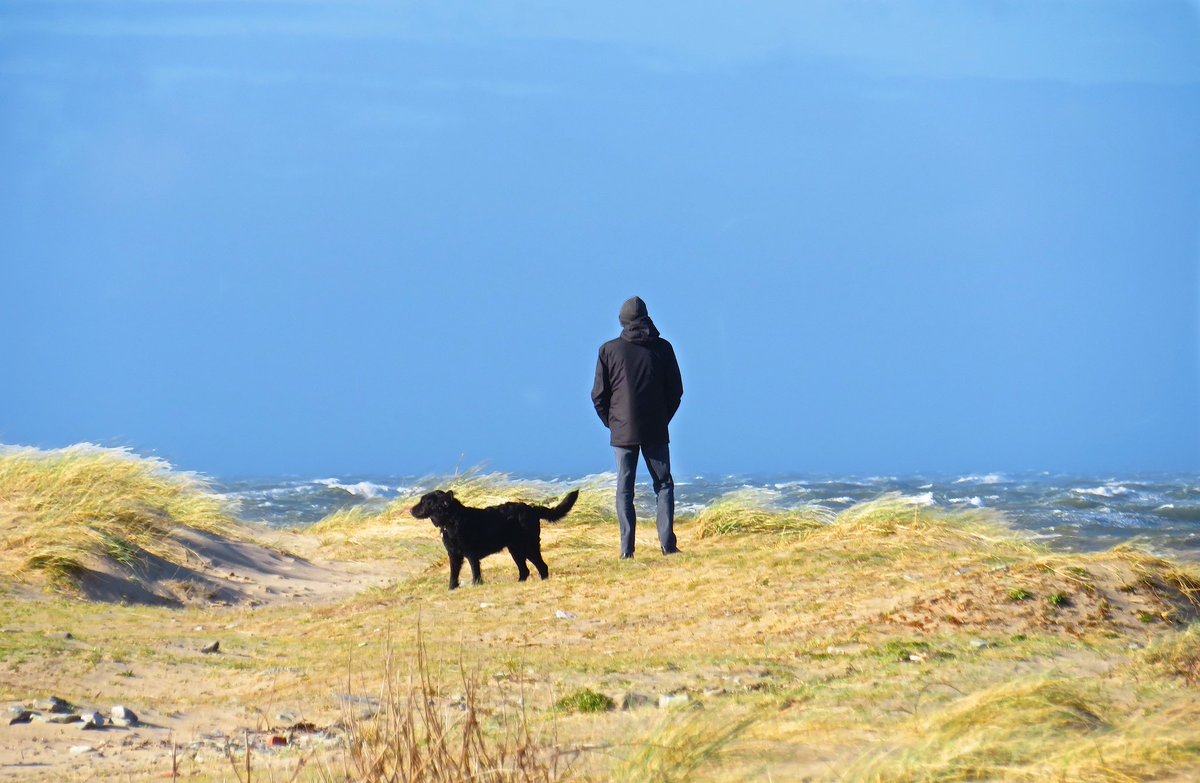 #isolation #loveofadog #dog #canine #weather #sea #coast #northwales #seaside
