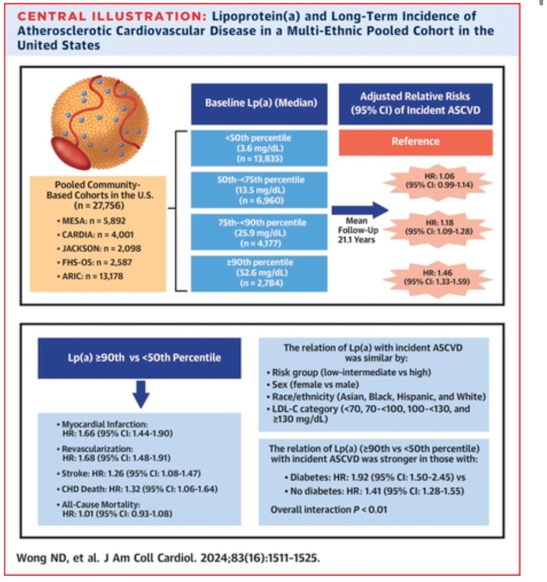 🟢Lipoprotein(a) and Long-Term CV Risk in a Multi-Ethnic Pooled Prospective Cohort 👥27,756 persons without previous ASCVD ⏰ 21.1 y 👉 ↗️ Lp(a) predicted incident ASCVD events similarly by risk group, sex, and race or ethnic groups, but more strongly in patients with vs without