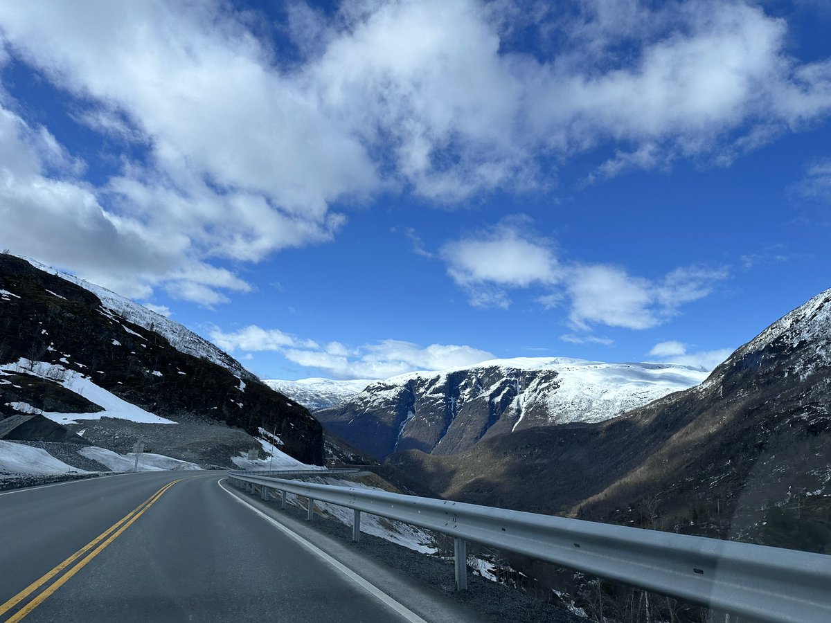 Blooprint tweet media