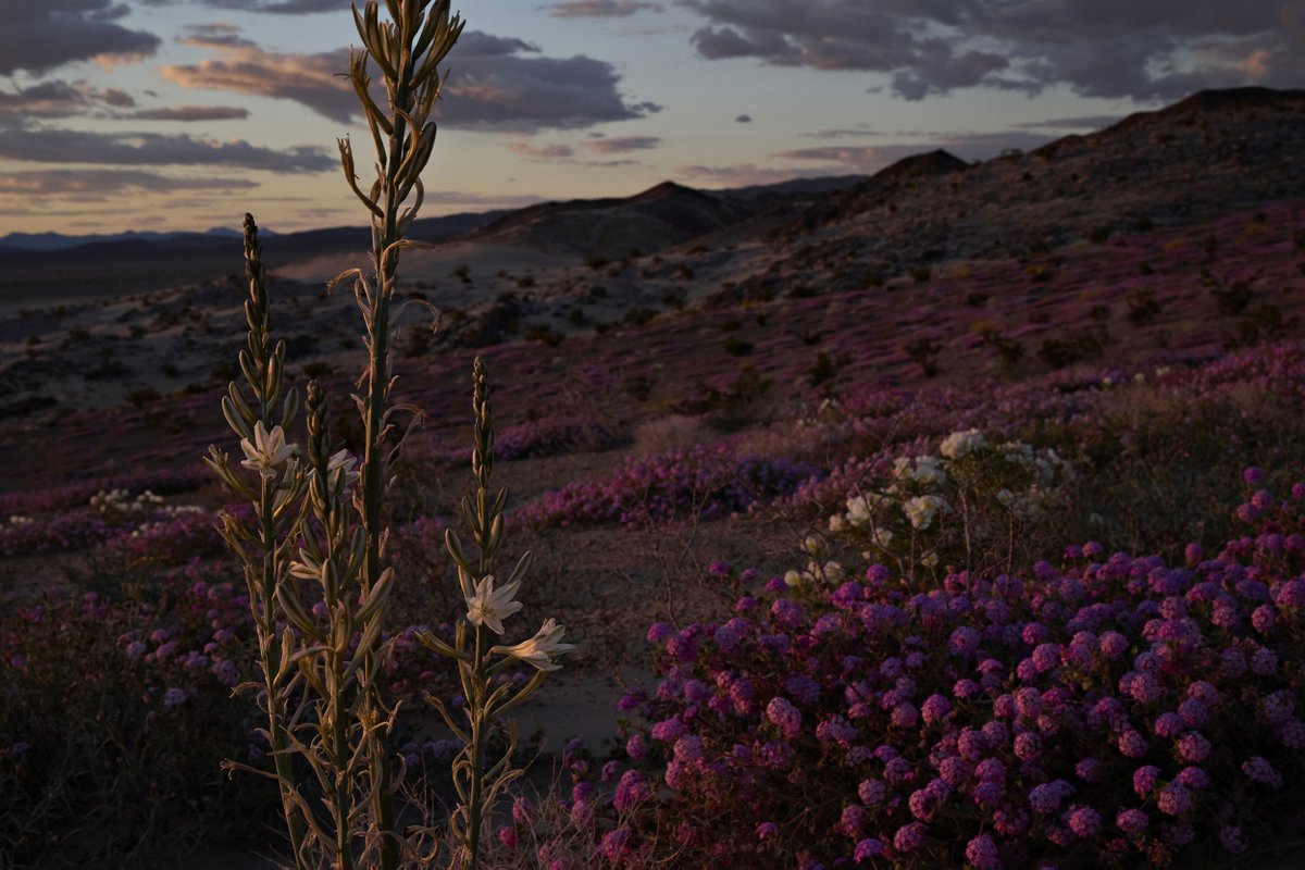 Bridget Bennett tweet media