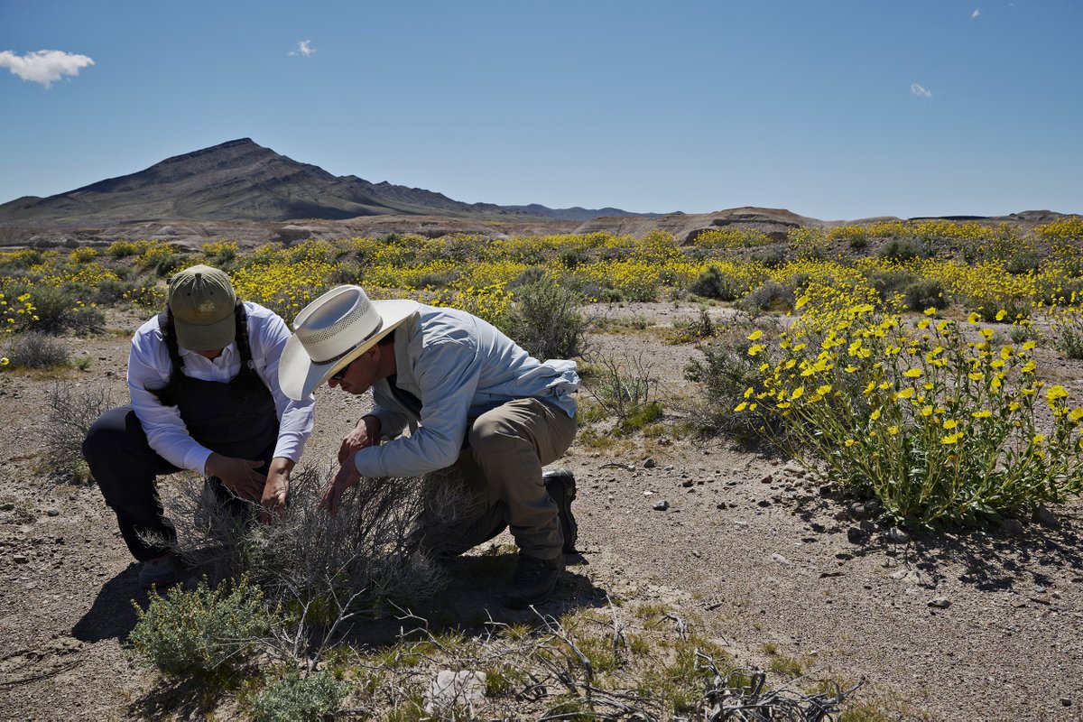 Bridget Bennett tweet media