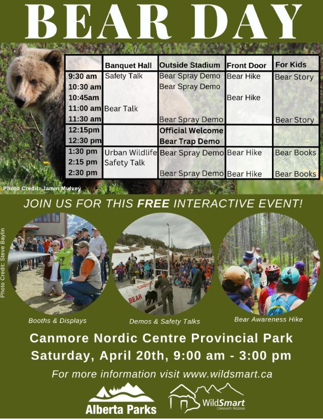 Celebrate #bearsafety on April 20 in Alberta! Two events: 🐻 Bear Safety Forum in Blairmore, with presentations from @ClaytonTLamb & other experts: email cnpbearsmart(at)gmail(dot)com to register. 🐻 Bear Day in Canmore, a welcoming back of bears safely: biosphereinstitute.org/events/bear-da…